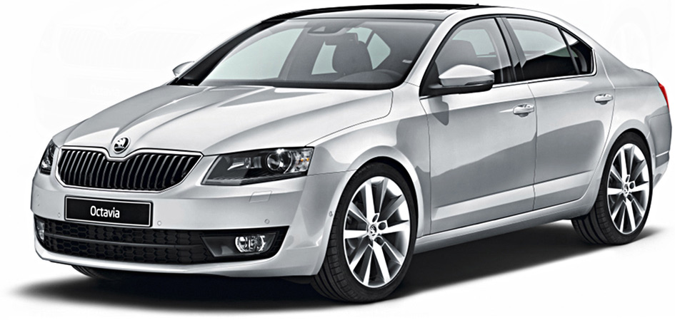 newOctavia_model.jpg